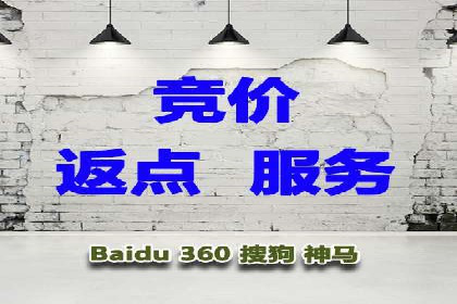 某企业SEM广告投放的ROI提升策略及效果展示