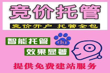 案例分析：SEM推广助力品牌知名度